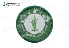 通版深圳市东湖中学织唛校徽校服礼布标姓名贴章可缝烫现货现发51