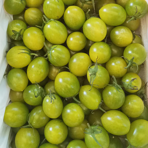 翡翠千禧圣女果 净重1kg/件 商品图1