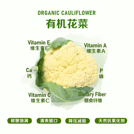 暖壹有机白花菜500g 商品图1