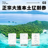 【尊贵海参 百补营养】梦岭南 鲜食海参500g 正宗大连深海  大个海参 全面营养 老少皆宜 商品缩略图5