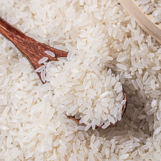 邻家饭香有机五常大米稻花香2号 5kg/袋 龙凤山核心产区黑土地种植 商品图7