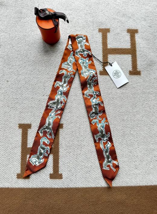 重磅真丝丝巾 （CB） 商品图4