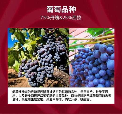 【直选好酒】奥兰小红帽干红葡萄酒750ml单支 商品图4