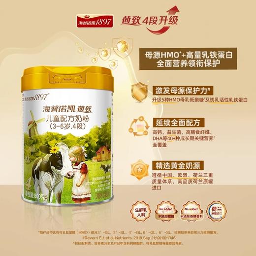 800g海普诺凯1897 荷致儿童配方奶粉（3-6岁，4段） 商品图1