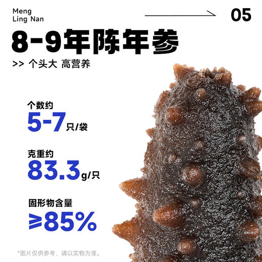 【尊贵海参 百补营养】梦岭南 鲜食海参500g 正宗大连深海  大个海参 全面营养 老少皆宜 商品图7