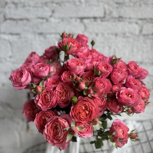多头玫瑰.胭脂公主B级 商品图1