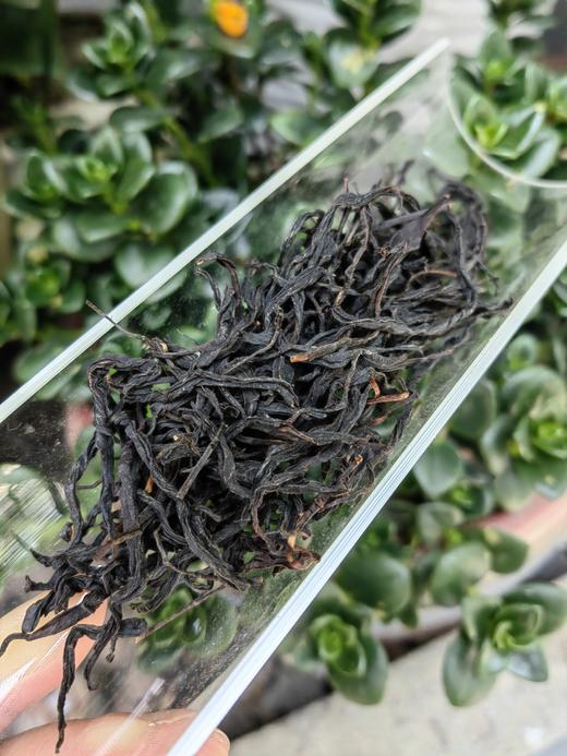 祁门红茶/荒野祁红/特级100g单罐装 商品图2