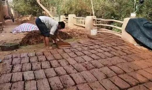 【智行研学】12月8日 “自然建造师” 商品图10