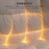 【预售5天·匈牙利95白鹅绒】被子五星级百分百羽绒被芯家用暖冬被 商品缩略图0