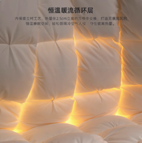 【预售5天·匈牙利95白鹅绒】被子五星级百分百羽绒被芯家用暖冬被