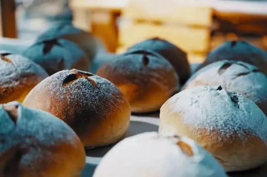 【智行研学】12月8日 “自然建造师” 商品图12