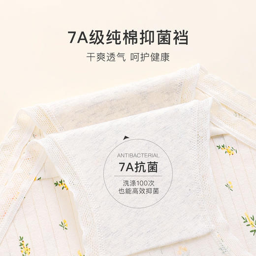 甜美蕾丝少女内裤纯棉抑菌底裆抑菌透气高弹不勒不夹臀南笙挽风内裤5条装A 商品图5