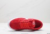 耐克Nike SB Chron Solarsoft低帮休闲运动板鞋CD6278-003男女鞋 商品缩略图1