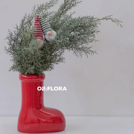 圣诞丨雪花松丨1扎 商品图0