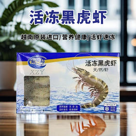 越南进口活冻黑虎虾500g