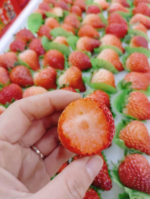 红胶带大板草莓一箱 商品图4
