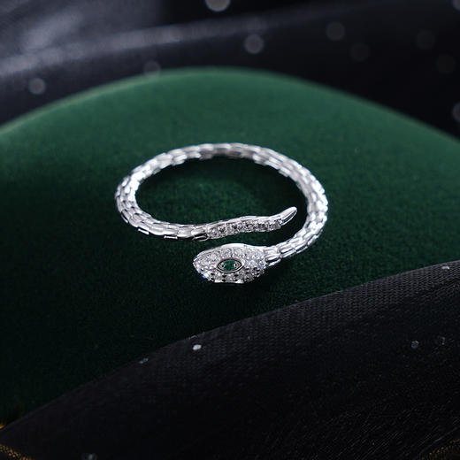 子佩集S925银【碧眼灵蛇】戒指【JL070511】纯银时尚2411 商品图2