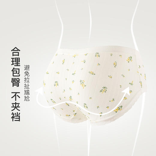 甜美蕾丝少女内裤纯棉抑菌底裆抑菌透气高弹不勒不夹臀南笙挽风内裤5条装A 商品图4