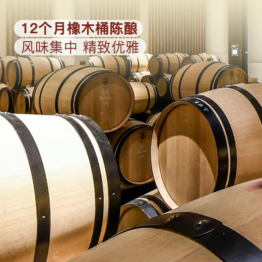 MM 山姆 Member's Mark 法国进口 波亚克干红葡萄酒 750ml 商品图6