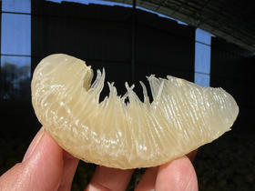 【劲爆开团】江永香柚，纯甜无酸，清脆爽口，水分好！产地直采整车到店