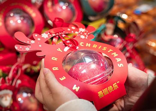 【智行研学】12月21/22日 梦幻圣诞奇遇记 商品图7