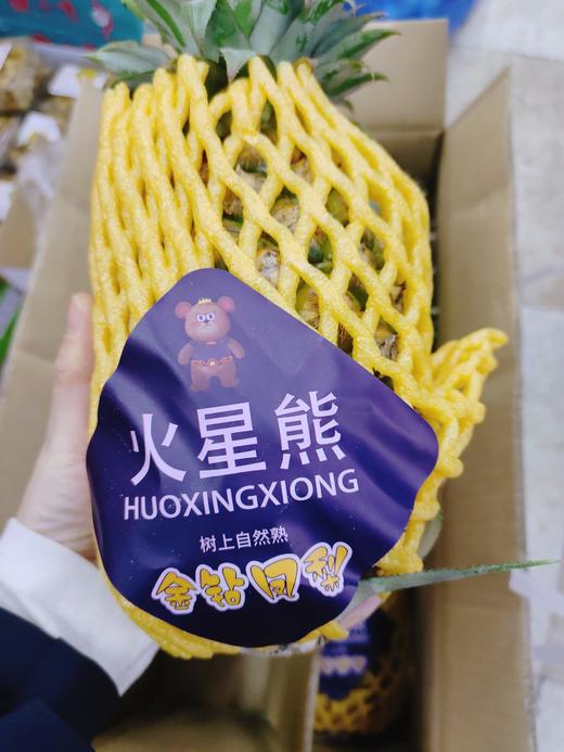 火星熊凤梨一个 商品图0