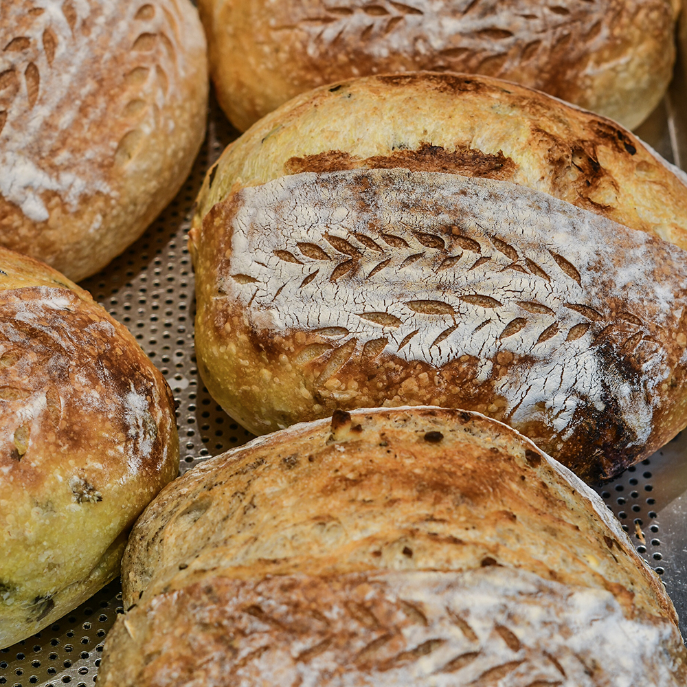 青稞桂花乡村面包【T65+全麦粉+青稞，鲁邦种天然酵母】