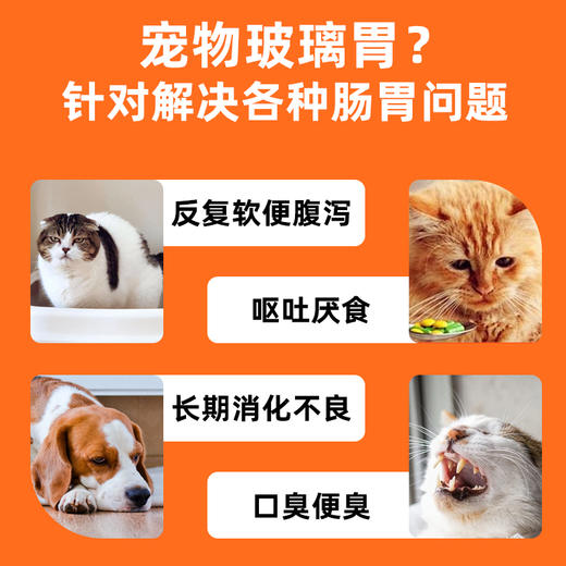 【10送2】菲内仕益生菌3g*10袋 专利菌种 调理肠胃犬猫通用  线下实体专供 商品图3