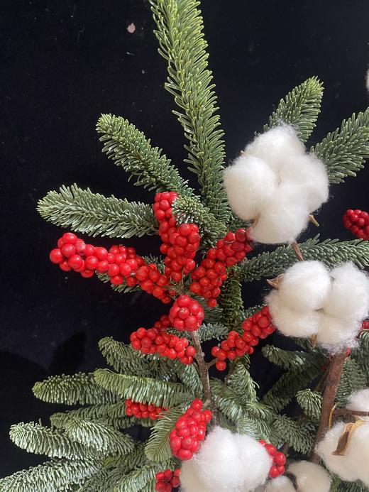 圣诞节冬青诺贝松棉花套餐 商品图3