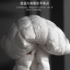 【预售5天·匈牙利95白鹅绒】被子五星级百分百羽绒被芯家用暖冬被 商品缩略图2