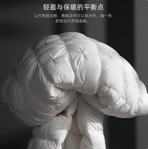 【预售5天·匈牙利95白鹅绒】被子五星级百分百羽绒被芯家用暖冬被 商品图2