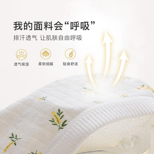 甜美蕾丝少女内裤纯棉抑菌底裆抑菌透气高弹不勒不夹臀南笙挽风内裤5条装A 商品图7