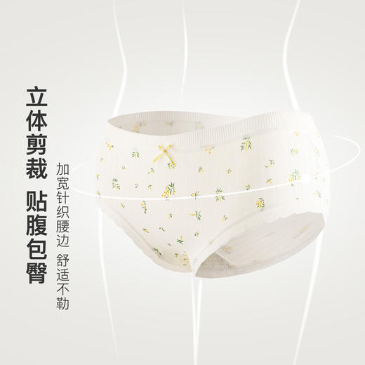 甜美蕾丝少女内裤纯棉抑菌底裆抑菌透气高弹不勒不夹臀南笙挽风内裤5条装A 商品图3