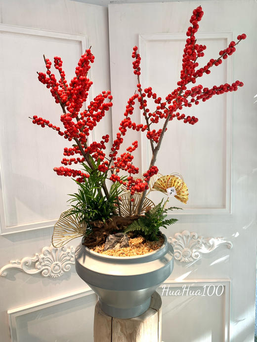 幸运好礼丨蝴蝶兰 or 冬青盆栽（含盆器+市中心免费配送） 商品图1