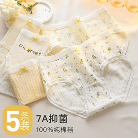 甜美蕾丝少女内裤纯棉抑菌底裆抑菌透气高弹不勒不夹臀南笙挽风内裤5条装A