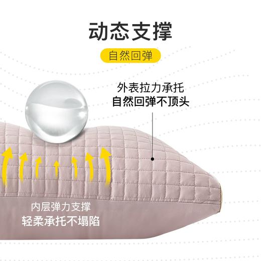 枕头枕芯成人家用一对装单双人酒店枕午睡家用学生宿舍专用 商品图3