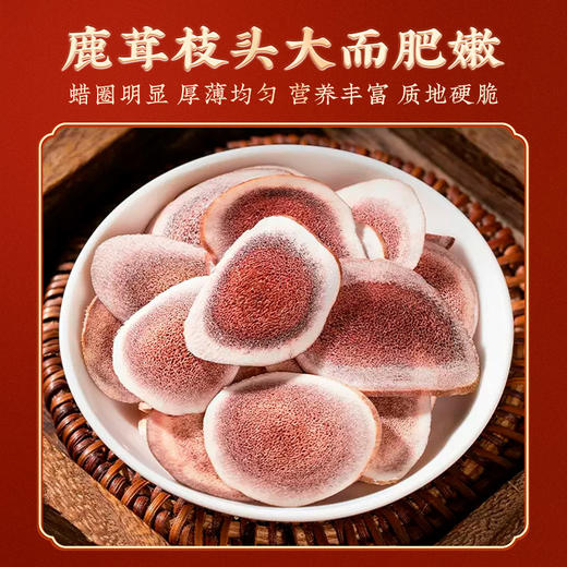 蔡府有元气（鹿茸+红参+桂圆）150g 商品图7
