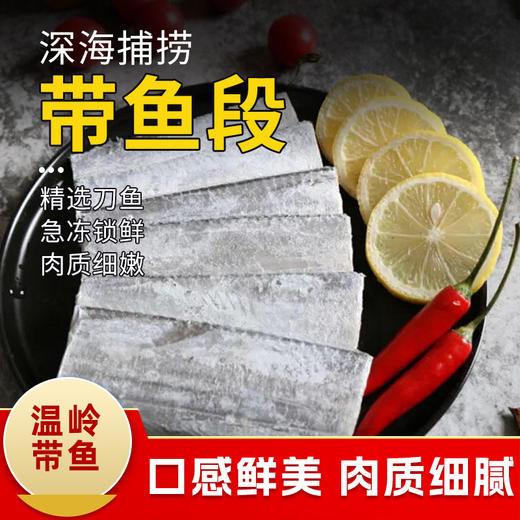 带鱼段7/9  1300±20g 商品图0