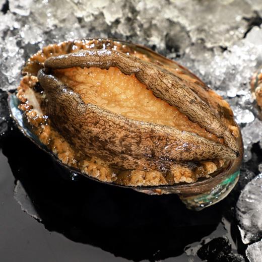 丁小宴海鲜盛宴898型 3650g【实物/卡券】 商品图5