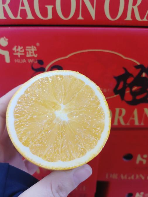 龍橙一箱 商品图6