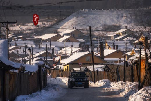 东北·冰雪奇缘8天——俄罗斯庄园、丹顶鹤、查干湖冬捕、东北虎园、雾淞岛、松岭雪村、朝阳天鹅摄影团 商品图9