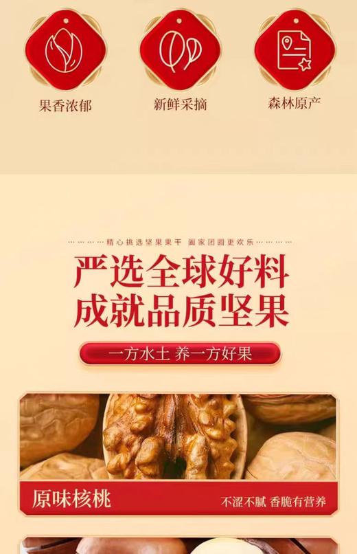 【BC】2025年货节--内部团购10盒起送遇见森林坚果礼盒系列 商品图4