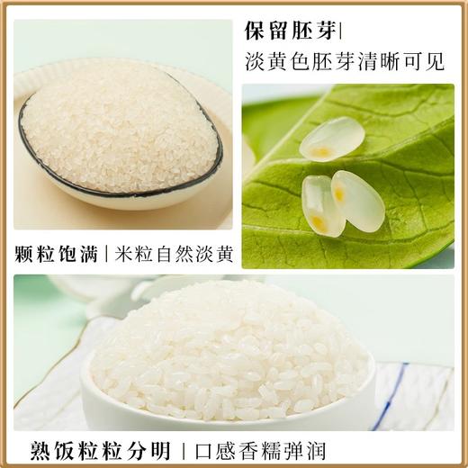 【草原三河内蒙古草原胚芽米】颗粒饱满 保留胚芽一年一季,多一分营养与美味 商品图5