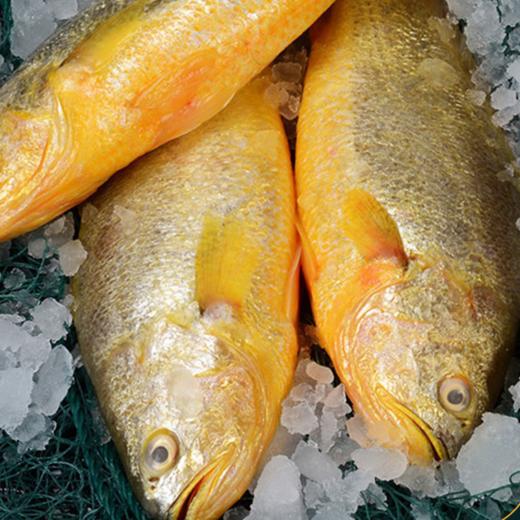 丁小宴海鲜盛宴568型 2800g【实物/卡券】 商品图5