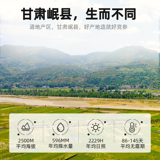 【杞里香党参218g】产自甘肃岷县  可搭配黄芪当归泡水、煲汤 商品图2