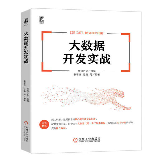 大数据开发实战 商品图0