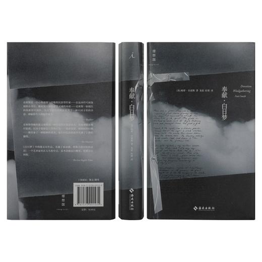 奉献·白日梦 (美) 帕蒂·史密斯 著 商品图1