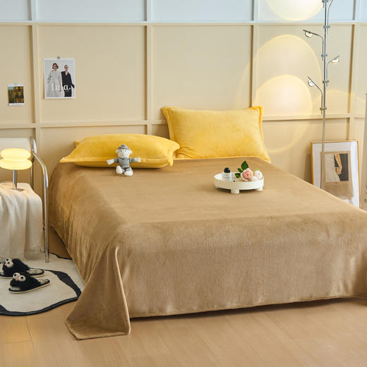 纯色简约牛奶绒加厚床上四件套家用床品冬季加绒保暖床单被套罩子 商品图7