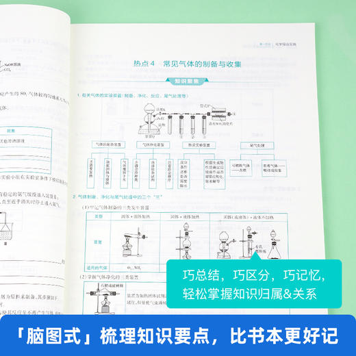 脑图快解高考生物非选择题 商品图4