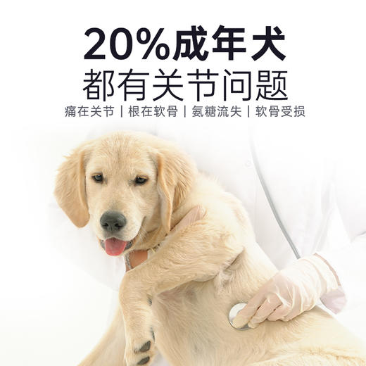 【Ramical雷米高】狗狗专用犬奶贝维生素片营养补钙软骨素狗狗易吸收 商品图1
